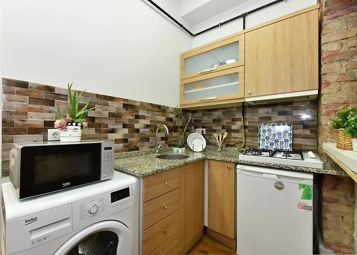 Wooden Style Ac Galata Apartament Stambuł