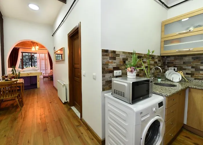 Appartamento Wooden Style Ac Galata *